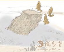 姤卦第四爻，爻辞：九四：包无鱼，起凶。