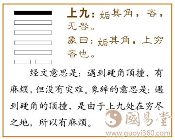 姤卦第六爻，爻辞：上九：姤其角；吝，无咎。